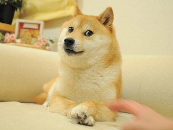 如何将 meme、logo、头像变成萌趣 Q 版钥匙吊坠