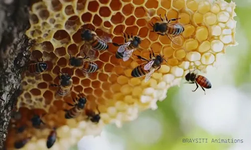 AI 科普短片《镜像宏观世界》