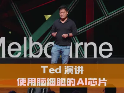 Ted 演讲：使用脑细胞的 AI 芯片