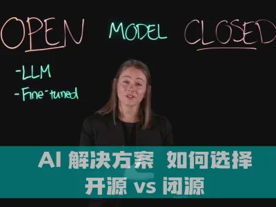 AI 解决方案：开源 vs 闭源，如何选择？