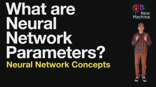 神经网络中的参数是什么