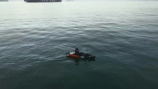 AI 化身钓鱼大师，钓鱼秘诀一键解锁