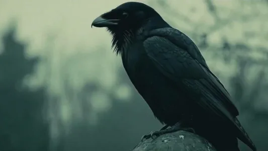 AI 文艺短片《梦的陨落》