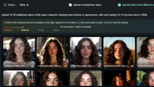 可灵自定义视频模型介绍