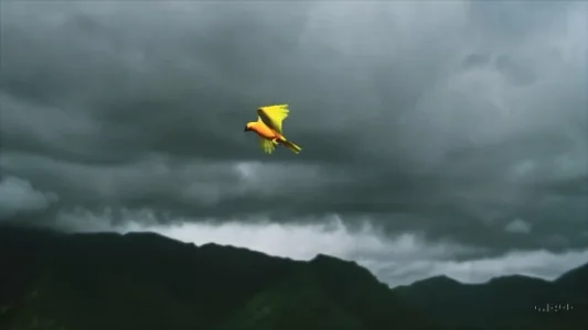 当 Sora 遇到韦恩·普赖斯和 IN-Q 创作的诗歌