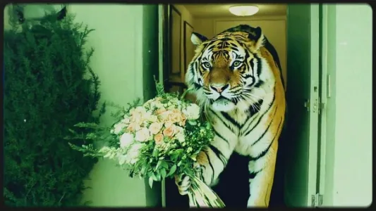 AI 短片《道歉》